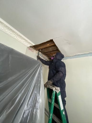 mold inspection New York